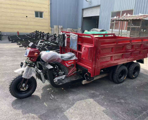 Venta al por mayor de fábrica: Triciclo de carga de 9 ruedas, motocicleta de 300CC o 350CC a gasolina, con carrocería abierta para uso de carga. - Product Image 1