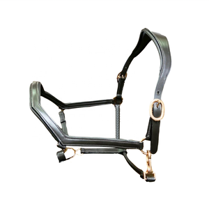 Cabestros de equitación de cuero acolchado disponibles en tamaños y colores personalizados Tocado de forma anatómica - Product Image 1