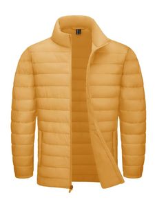 Veste d'hiver coupe-vent pour homme, col montant, respirante, en duvet, 100 % polyester/coton, en vente en ligne - Product Image 4