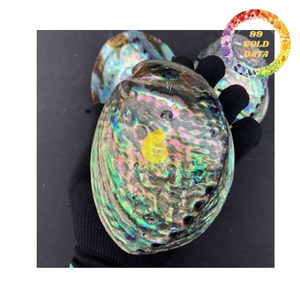 Wholesale Natural <b>Abalone</b> <b>Shell</b> Green Color For Decoration And Gift Products | Bulk supply from Vietnam - Product Image 3