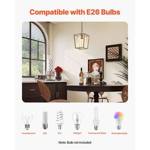 Lampadario a sospensione stile rustico a 1 luce, con gabbia in ferro nero e paralume in vetro trasparente, altezza regolabile - Product Image 5