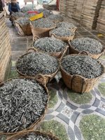 [DISPONIBLE] Anchois séchés de petite taille, poisson marin pour la préparation de soupes riches et savoureuses dans la restauration au Vietnam