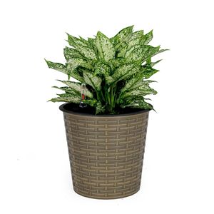 Vaso Decorativo Rotondo in Vimini Naturale da 10,2 Pollici con Sistema di Auto-Irrigazione per Fiori e Piante da Interno ed Esterno - Product Image 1