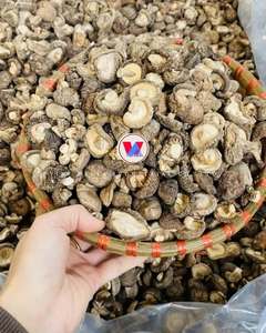 Champignons Shiitake Entiers Séchés et Frits Salés, Sous Vide, 0,5 kg, Emballage en Vrac, Pour la Cuisine, Direct Usine Vietnam/Ms. Kelly - Product Image 1