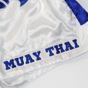 Factory Wholesale Muay Thai Shorts Comfortable Kickboxing Shorts for Men and Women Fully Sublimated Boxing Fight Shorts - Product Image 3