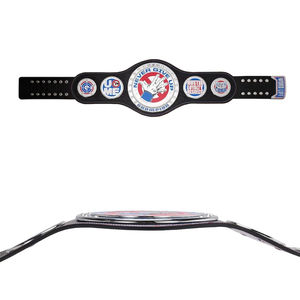Custom Design Championship Wrestling Belts <b>World</b> Heavyweight Custom Logo Stainless Steel <b>Material</b> Unisex Eco-Friendly Powder - Product Image 3