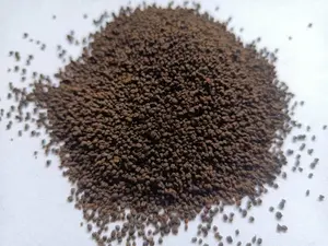 Thé vert d'Assam 100% naturel, approvisionnement frais, marque OJISHTHA, durée de conservation de 24 mois, Camellia sinensis var. assamica - Product Image 4