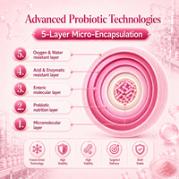 Poudre de prébiotiques pour femmes OEM avec Lactobacillus Plantarum CCFM8724, Hyaluronate de sodium, FOS, Poudre de canneberge pour les clients B2B
