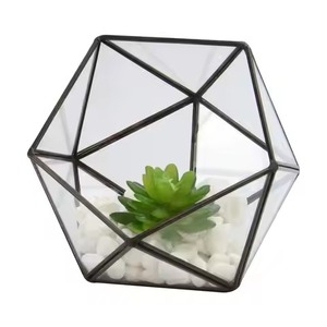 Stylish <b>Frame</b> Glass Metal Terrarium Planter Elegant Indoor <b>Plant</b> Holder Geometric Home Decor - Product Image 1