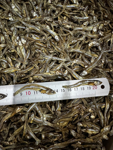 EXPORTACIÓN DE ANCHOVÍAS FRESCAS SECAS UTILIZADAS CON ARROZ DELICIOSO DE ALTA CALIDAD A PRECIO BARATO EN EL MERCADO DE VIETNAM - Product Image 5