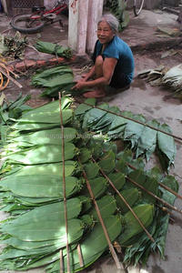 Feuilles de bambou séchées au soleil 100% naturelles, grande taille 9cm+, prix compétitif, direct du Vietnam, marque HNIECO, durée de conservation de 12 mois pour les gâteaux - Product Image 4