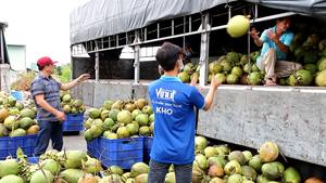 Eau de coco pure 500ml OEM prix de gros Vietnam Fabricant - Product Image 3