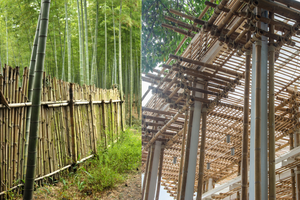 Bâtonnets de bambou naturel pour l'aménagement extérieur, le bricolage, la clôture et la décoration intérieure, BLUE LOTUS du Vietnam - Product Image 6