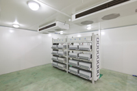 Boîtier de distribution électrique personnalisé, équipement de distribution d'énergie avec disjoncteur et barre omnibus