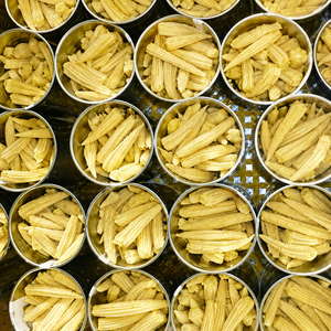 ข้าวโพดหวานทั้งเมล็ดในน้ำเกลือ พรีเมียม บรรจุกระป๋องสดใหม่ หวานและนุ่ม ไม่ใช่พืช GMO / MS ALINA - Product Image 6