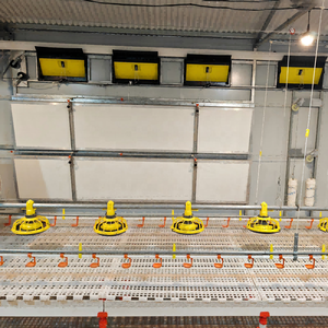 Línea <span class=keywords><strong>de</strong></span> Alimentación Automática por Cadena para Pollos, Sistema Transportador <span class=keywords><strong>de</strong></span> Plástico PP para Granjas Avícolas, Tornillo sin Fin - Product Image 5