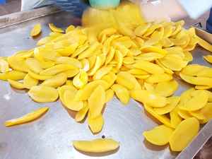 Mango seco en rodajas, muy vendido, para procesamiento de alimentos y envasado minorista, Vietnam - Product Image 4