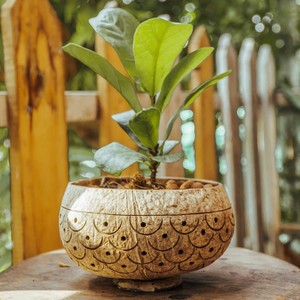 Fournitures de jardin pots de fleurs pour mini fleurs en pot décor de maison suspendu en coquille de noix de coco pot naturel - Product Image 6