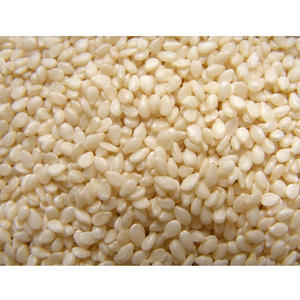Graines de sésame blanches naturelles non décortiquées, produit agricole brut en vrac pour la vente en gros - Product Image 4