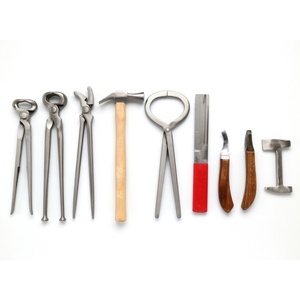 Kit de Herramientas de Herrador de Caballos de Grado Élite, Juego Completo para el Cuidado de Pezuñas, Equipo de Acero Forjado de Alta Resistencia para Herrado Profesional - Product Image 1