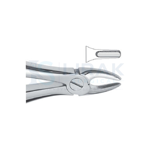 Forceps d'extraction dentaire en acier inoxydable, forceps manuels pour dents, griffes chirurgicales pour usage clinique - Product Image 3