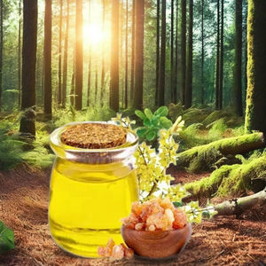 น้ำมันหอมระเหย galbanum จากธรรมชาติ100% เกรดเครื่องสำอางมี25kgs และบรรจุภัณฑ์180kgs - Product Image 1