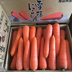 แครอทแดงสด (80-150 กรัม 150-220 กรัม 220-300 กรัม 300 กรัมขึ้นไป) 6 ซม. - Product Image 4