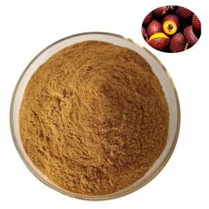 OEM High Purity Aguaje Fruit Powder Premium Food Grade Mauritia Flexuosa Fruit Powder 100% Pure & Natural Aguaje Powder - Product Image 1
