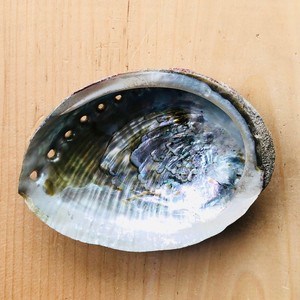 Paua <b>shell</b> for aquarium & jewelry craft <b>abalone</b> <b>shells</b> factory cost raw seashell of <b>abalones</b> - Product Image 1
