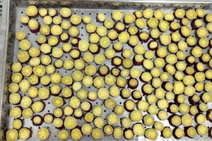 ถุงสูญญากาศ1กก. แพ็คสำหรับหั่นเหรียญมันเทศนึ่งแช่แข็ง - Product Image 5