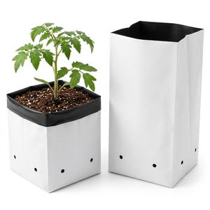 Sacs de culture biodégradables et recyclables en plastique durable - Semis de pépinière noir et blanc hydroponiques toutes saisons - Product Image 3