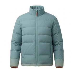 Chaqueta acolchada ligera de invierno para hombre OEM, cálida, informal, con cuello alto y cremallera, abrigo de plumón, ropa exterior, chaqueta acolchada de invierno para hombre - Product Image 1