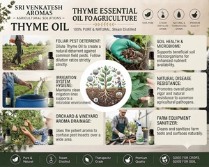 Thyme <b>Essential</b> <b>Oil</b> Steam Distilled Botanical Ingredient for Cosmetics Aromatherapy Soap Making Fragrance Bulk Supply - Product Image 5