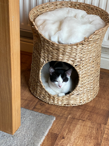 Artex HaiNam Woven Fiber Cat <b>Bed</b> <b>Cave</b> Round Solid Color Soft Faux Fur Indoor All Seasons Removable Washable for Cats - Product Image 4
