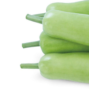 Calebasse naturelle fraîche verte pour la vente en gros, idéale pour la cuisine domestique, les restaurants, les soupes, les currys et les jus - Product Image 5