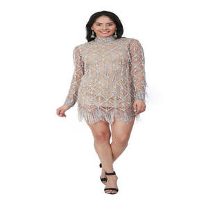 Minivestido de lentejuelas plateadas de lujo con cuello alto y manga larga |   Vestido de Fiesta con Flecos para Mujer, Diseño de Diseñador, Ropa de Cóctel |   India 2026 Premium Fit - Product Image 1