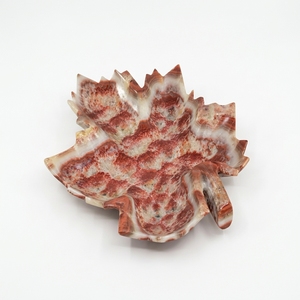 Assiette ronde en marbre blanc de qualité supérieure, différentes couleurs, prix abordables, écologique, pour les fêtes, style américain, durable - Product Image 6