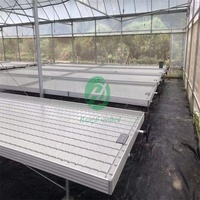 Table de culture hydroponique mobile en plastique ABS avec plateau de drainage et roulettes pour pépinière commerciale