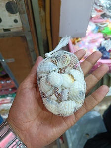 Natural Uniform Sea Shells Decorative Net Pack <b>Small</b> Ocean Shells for Craft Aquarium <b>Vase</b> Filling Home Decor - Product Image 4