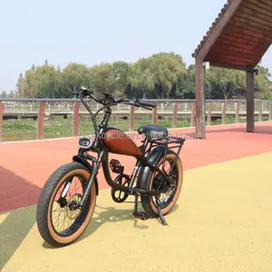 Yeni stil 20 inç yağ lastik yetişkin Vintage lityum elektrikli bisiklet elektrikli bisiklet pil Ebike yağ lastik elektrikli bisiklet 1500w