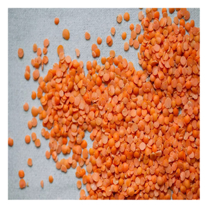 Lentilles rouges naturelles à haute valeur nutritionnelle pour les marques d'aliments santé et les acheteurs de l'industrie alimentaire - Product Image 1