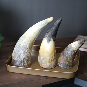 Juguete Masticable para Perros de Cuerno de Búfalo Natural, Corte Tuffie, Ecológico, Más Duradero, Premio Saludable para el Cuidado Dental de Cachorros y Perros Adultos - Product Image 5