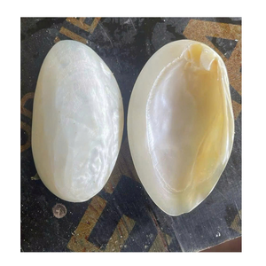Assiette en nacre faite à la main, plat décoratif polyvalent pour les amateurs de caviar, plat poli multi-usages, cadeau de mariage - Product Image 4