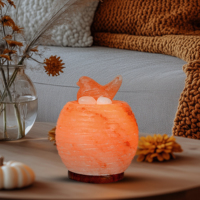 Lampes décoratives en sel de l'Himalaya, éclairage moderne pour la maison, service d'exportation rapide OEM ODM