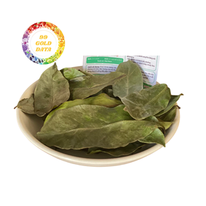 VIETNAM: DRIED LOOSE SOURSOP Leaf Natural Graviola Fresh Plant Leaves Guanabana Fruits Tisane <b>Tea</b> - Product Image 1