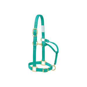 Teal Nylon Horse Halter With Gold Hardware For <b>Equestrian</b> Use - Product Image 1