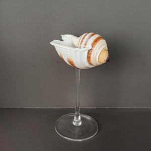 Ensemble de verres à vin avec décor exotique de coquillages de plage, verres à boire en coquillages naturels, ensembles de vaisselle naturelle. - Product Image 4