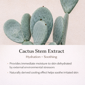 Brume fine hydratante à l'huile de cactus K Beauty OEM/ODM, hydratant visage effet peau de verre, marque privée, pour tous types de peau - Product Image 4