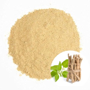 Polvo de Ashwagandha Puro y Natural OEM, Molido Fino, Polvo de Withania Somnifera Premium para Hombres y Mujeres, Apoyo para la Energía y la Resistencia - Product Image 1