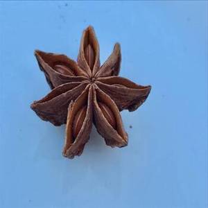 Anis étoilé indien naturel séché entier pour applications culinaires, emballage en gros et approvisionnement mondial d'ingrédients - Product Image 4